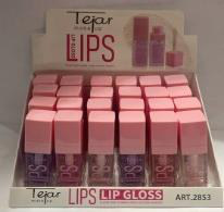 Lip Gloss