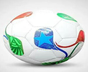Pelota Mundial N2